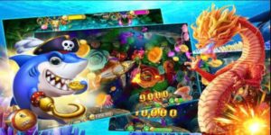 bắn cá online KUBET