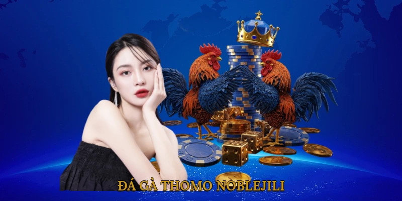 Đá Gà Thomo NOBLEJILI