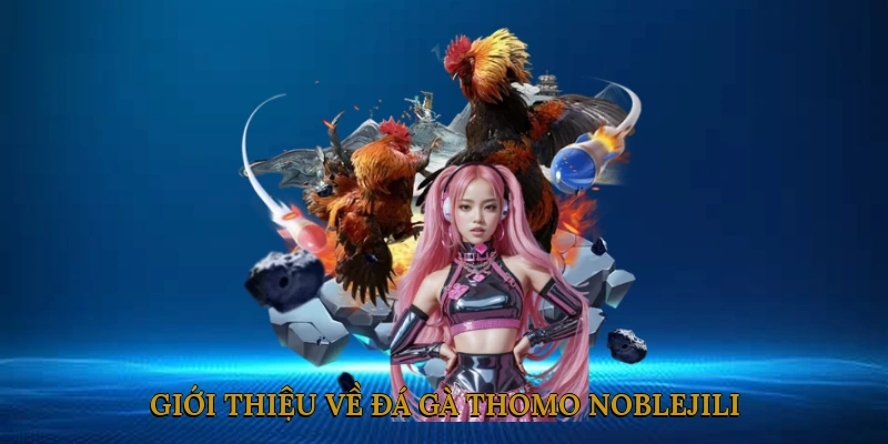 Giới thiệu về Đá Gà Thomo NOBLEJILI